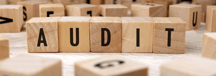 IT Auditing