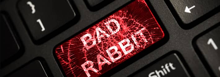 What do we know about bad rabbit