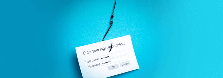 Tips to Identify and Avoid Phishing Scams