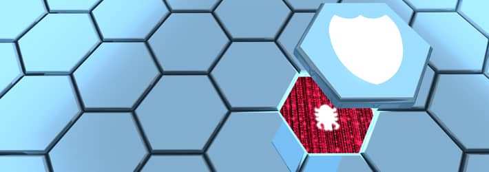 Cybersecurity Vulnerabilities