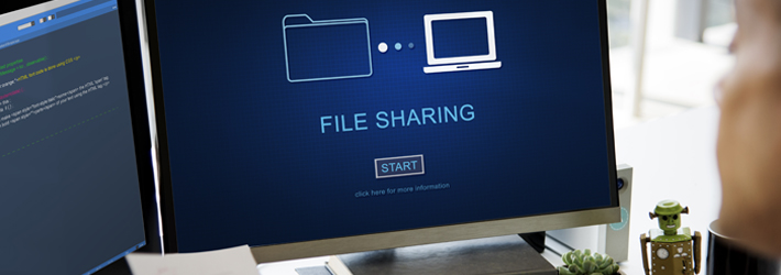 File Sharing Security