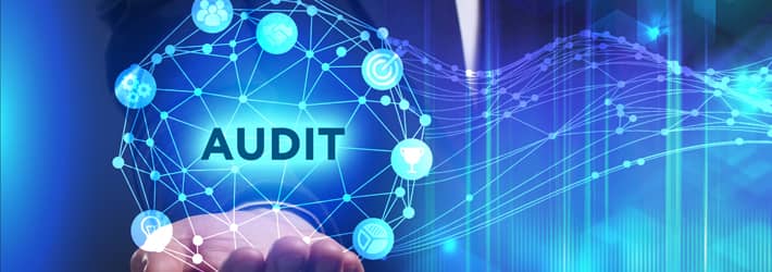 IT Security Audit