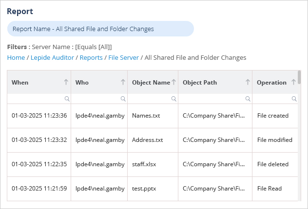 The Lepide File and Folder Changes Report