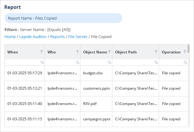 The Lepide Files Copied Report