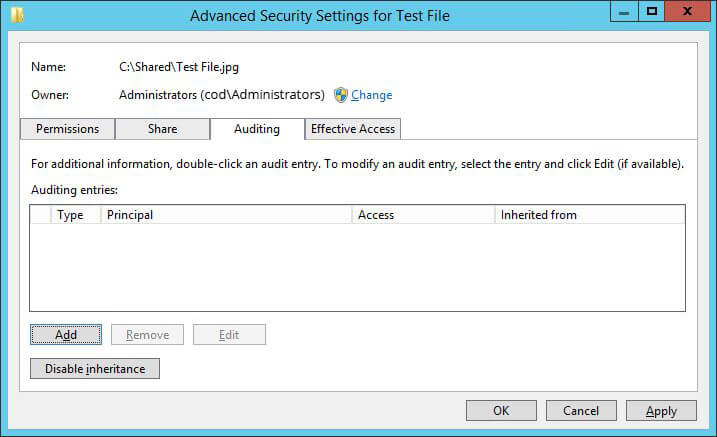Auditing tab in Advanced Security settings