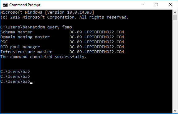 List Current FSMO Role Holders using netdom