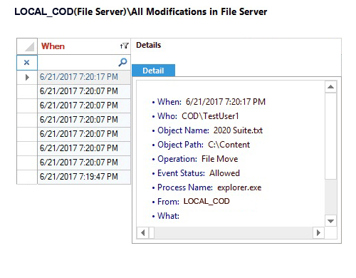 Spot Potential Fraud with a Complete Audit Trail - screenshot