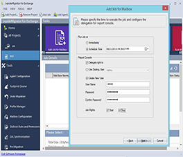 Entering Job Execution Time and Configuring Delegation for Report Console