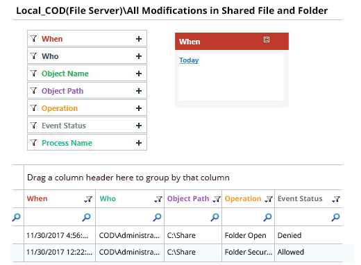 Audit file share access