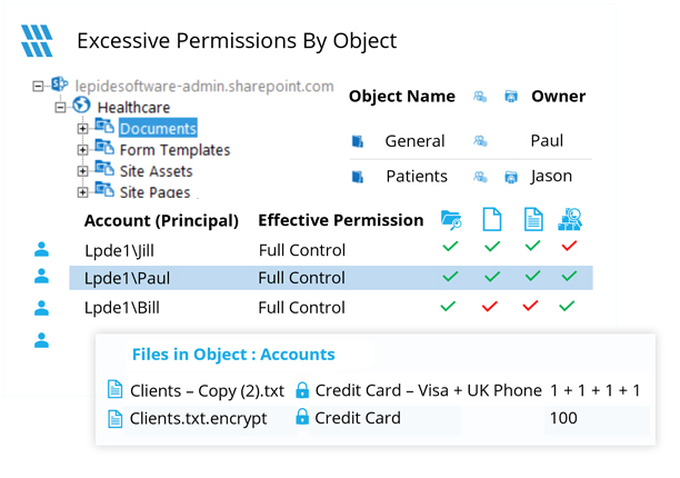 Spot users with excessive permissions - screenshot