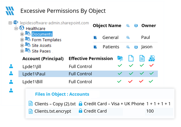 Report on Excessive Permissions - screenshot