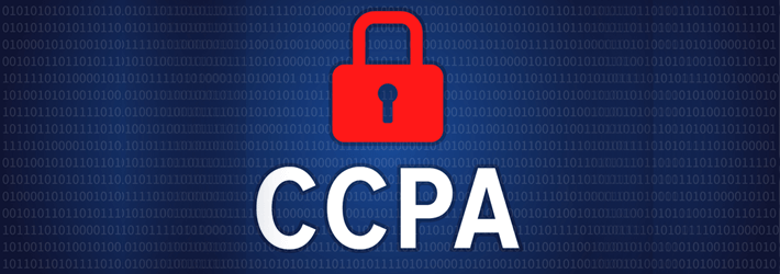 https://www.lepide.com/sampleblog/wp-content/uploads/2019/11/lepide-guide-for-ccpa-small.png