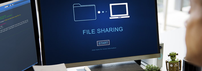 https://www.lepide.com/sampleblog/wp-content/uploads/2022/02/file-sharing-security-small.jpg