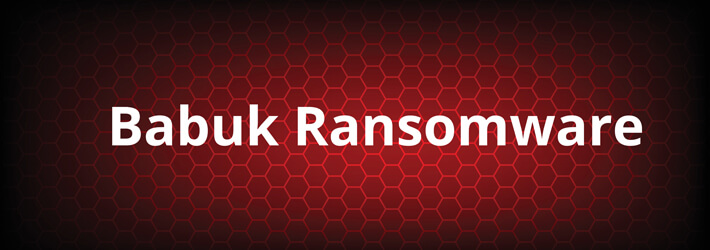 https://www.lepide.com/sampleblog/wp-content/uploads/2023/03/babuk-ransomware-small.jpg